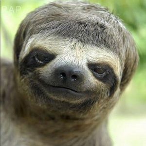 Meet your Posher, Brian